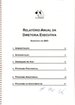 Relatório Anual 2003